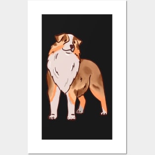 Red Merle Aussie Posters and Art